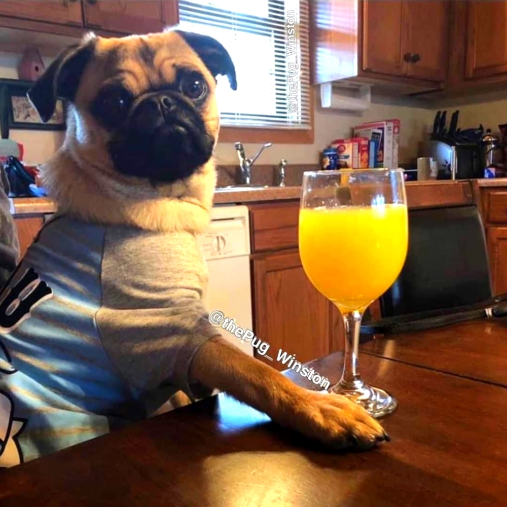 Meet your Posher, Tamara